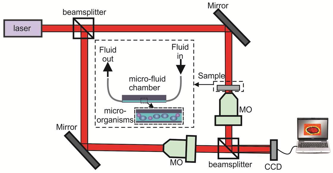 Figure 18. Digital holographic microscopy (DHM) with a microfluidic input device for 3D imaging, identification and dynamics analysis of biological microorganisms. For on-axis DHM, the reference arm of the interferometer is removed.