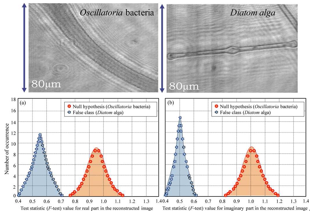 Figure 19. Statistical hypothesis testing for identifying different classes of biological microorganisms. Parametric F-test for the equality of two variances is used. 200 test samples (pixels) were selected from the 3D image reconstructed by using on-axis DHM