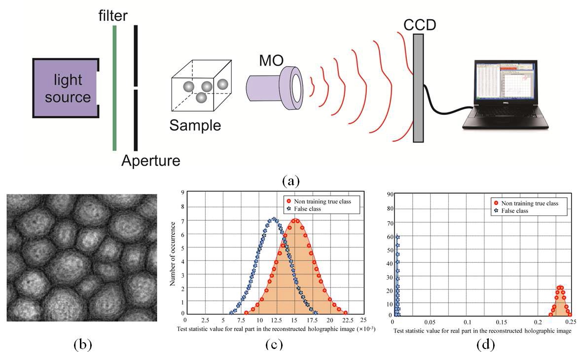 Fig. 20. (a) Digital holographic microscopy with Gabor holographic recording configuration under partially coherentillumination for cell identification. The light source can be a laser diode or white light source. The Gaborholographic set up with partially coherent illumination provides a more simplified system for 3D identification ofbiological microorganisms. (b) Holographic image of a sunflower stem cell reconstructed by appling Gabor waveletfiltering, where Gabor kernel frequency with f0=3.0 was tested. (c) and (d) illustrate the statistical amplingdistributions of the test statistic for non-training true class and false classes. Null hypothesis is the training true lass. The data are obtained from real part in (c) holographic image and (d) Gabor filtered holographic image.