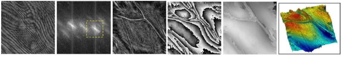 Fig. 33 Digital holographic microscopy process (onion cells) (FOV = 100 × 100 μm, 416 × 416 pixels)