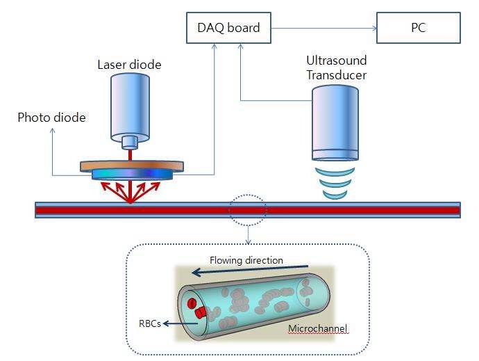 그림 10. 레이저와 초음파를 이용한 적혈구 응집 측정 시스템 모식도.