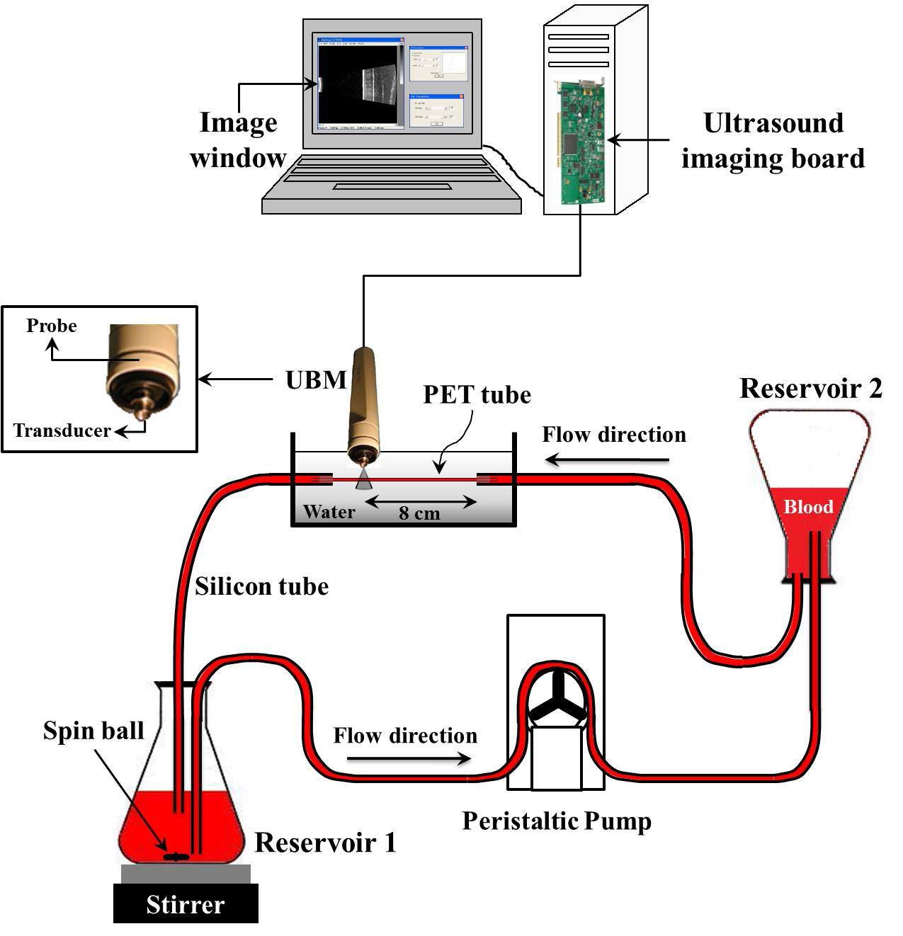 그림 18. 모의 혈류 시스템과 초음파 현미경을 활용한 실험 세팅 개념도.