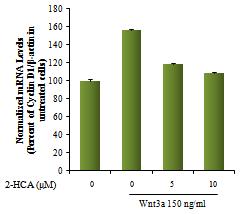 Wnt 신호2전-달hy에dr o의xy해ci n발na현m이al 증가한 표적 유전자 cyclin D1에 대한 dehyde의 저해 효능