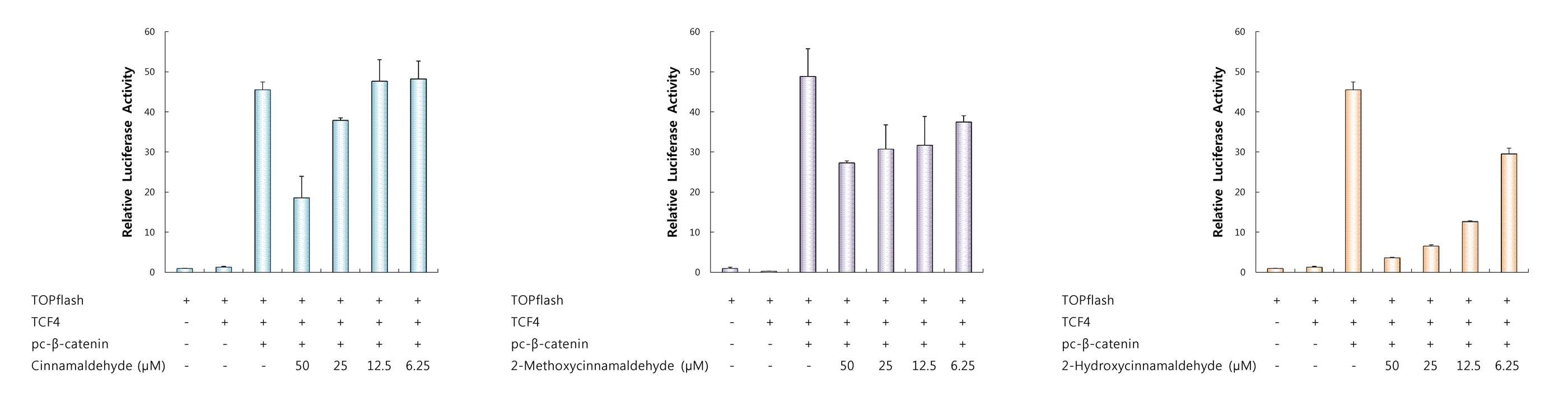 β-catenin을 도입시킨 HEK293 세포주에서의 phenylpropanoid계 물질의 효능