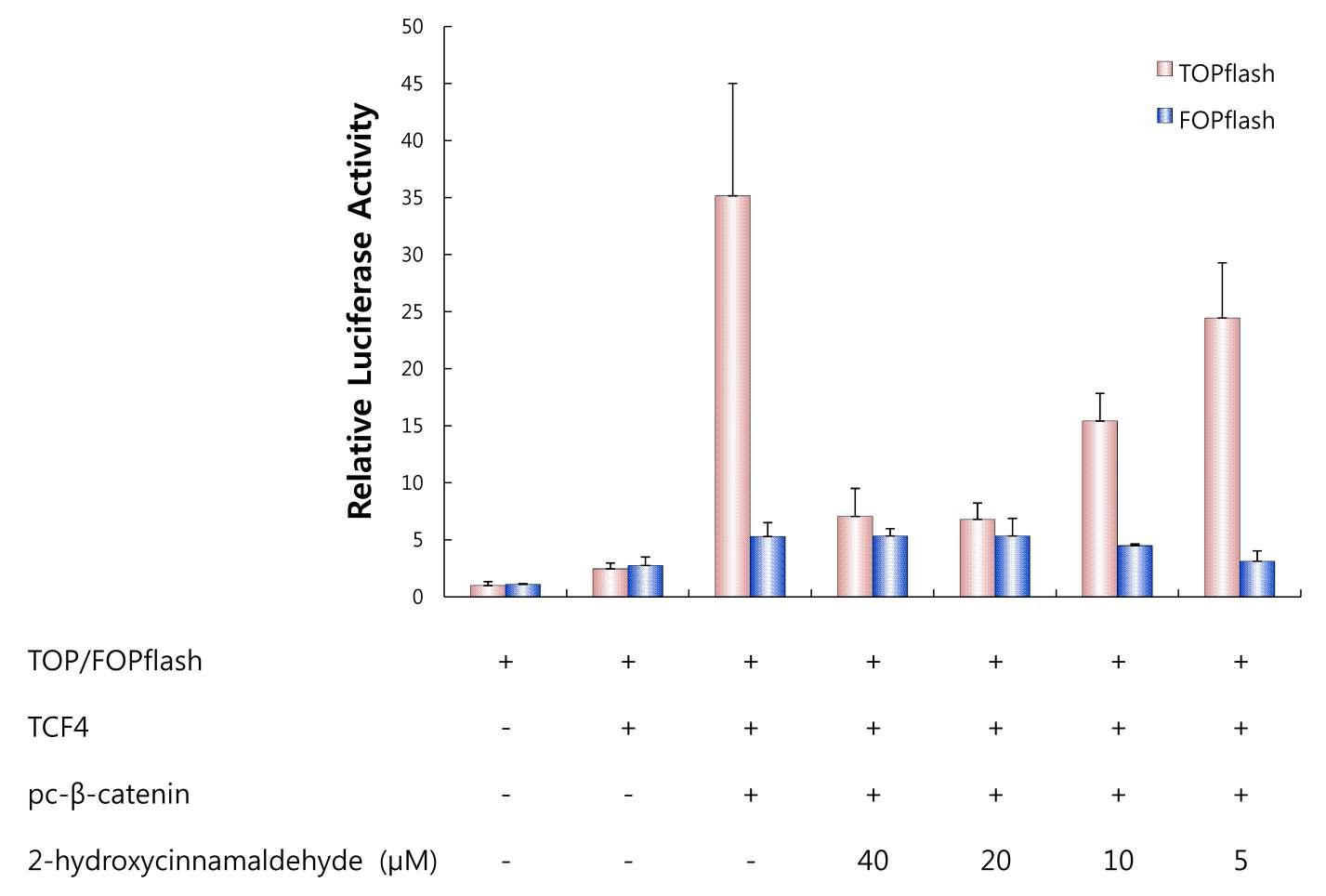 β-catenin을 도입시킨 HEK293 세포주에서의 2-hydroxycinnamaldehyde의 효능