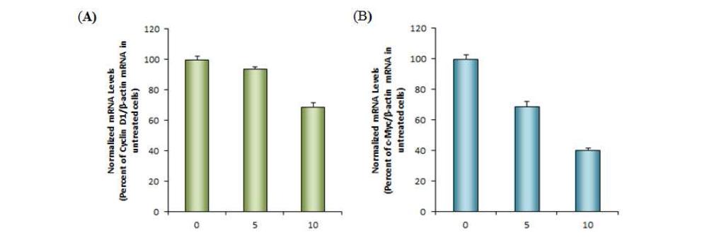 2-hydroxycinnamaldehyde의 β-catenin 표적 유전자의 발현 억제효능