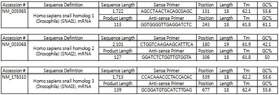 Snail mRNA 발현 조절 여부를 확인하기 위한 primer sequence