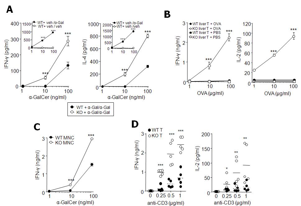 VSIG4 pathway is involved in the induction and maintenance of liver T-and NKT-cell tolerance.