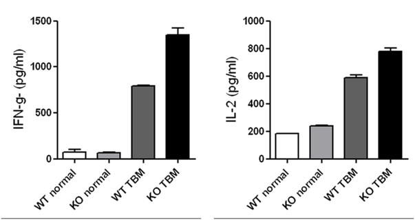 Cytokine secretion in TC-1 tumor bearing mice.