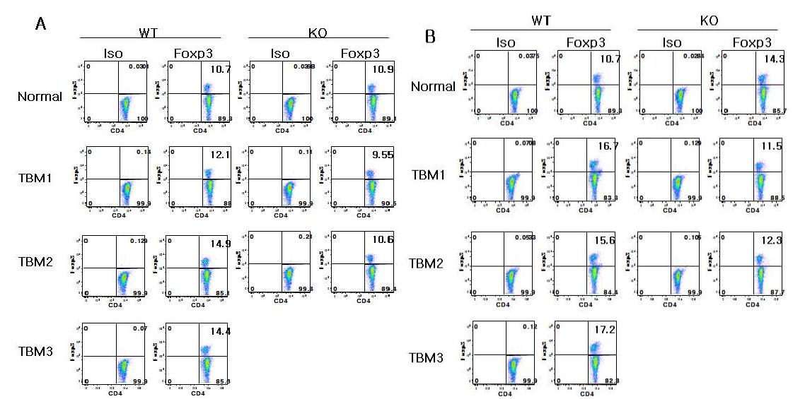 Difference in composition of Treg cells in lymphoid organs and liver from tumor-bearing VSIG4 WT and KO mice.