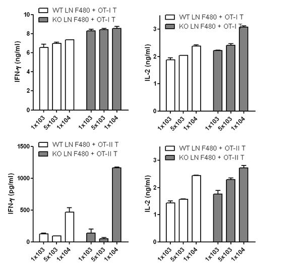 Suppressive effect of LN F480 Mac on T cells.