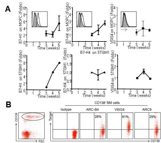 Kinetics of VSIG4 expression on tumor cells.