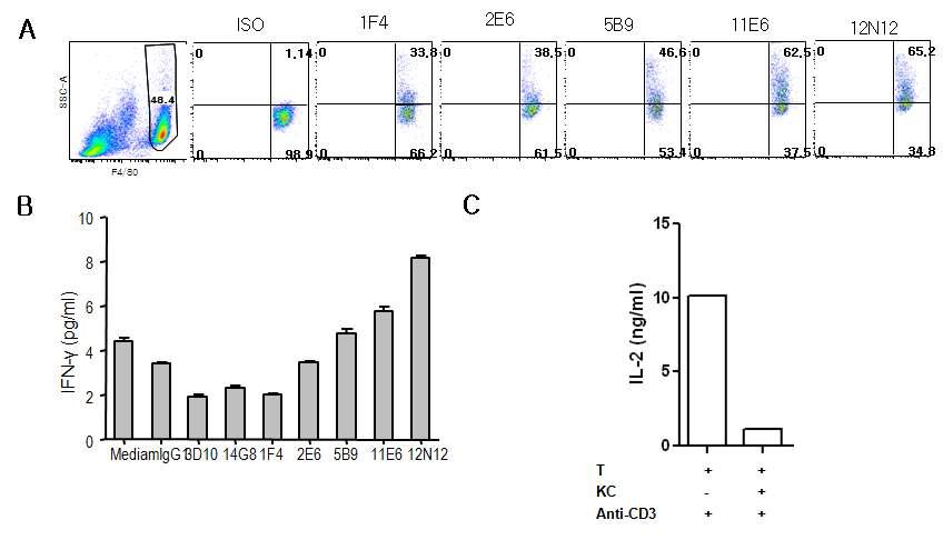 Characterization of home-made mAbs against VSIG4.