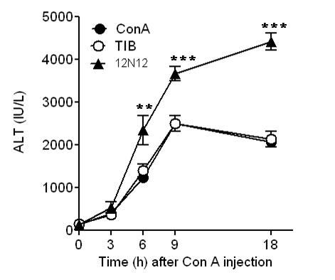 Blocking effect of 12N12 on suppression of ConA induced hepatitis.