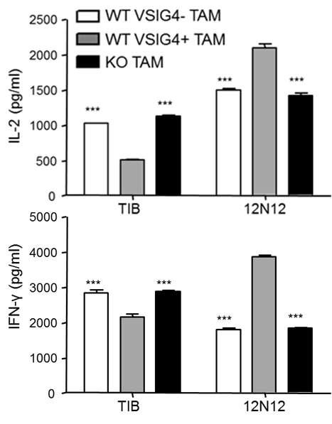 Blocking effect of 12N12 on suppression of T cells.