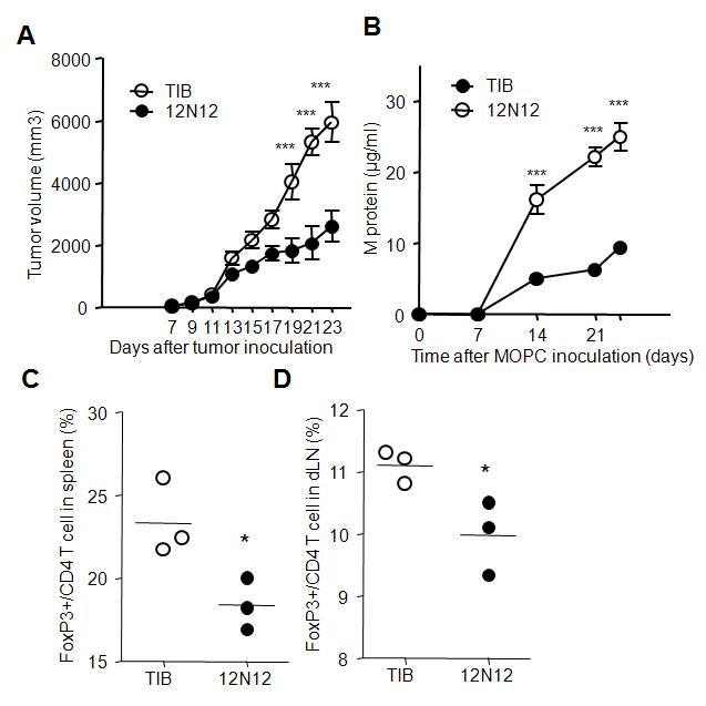 Blocking effect of 12N12 Ab on tumor growth.