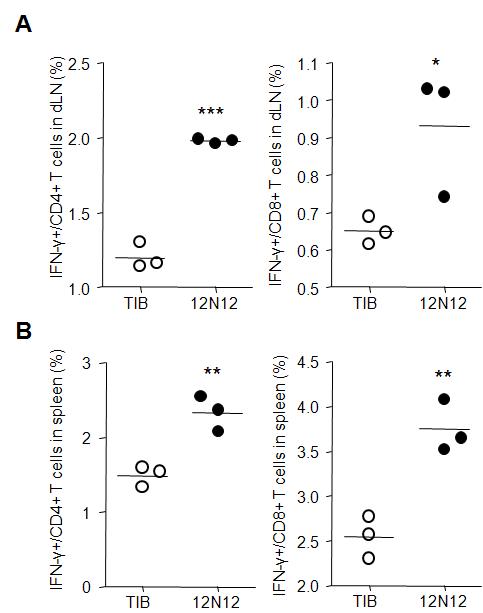 Blocking effect of 12N12 Ab on antigen specific T cell response.