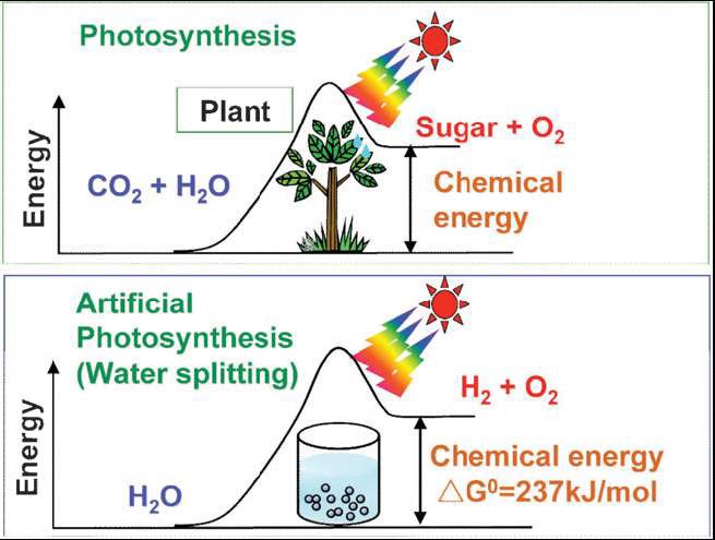 그림 2.1. Photosynthesis by green plants and photocatalytic water splitting as an artificial photosynthesis