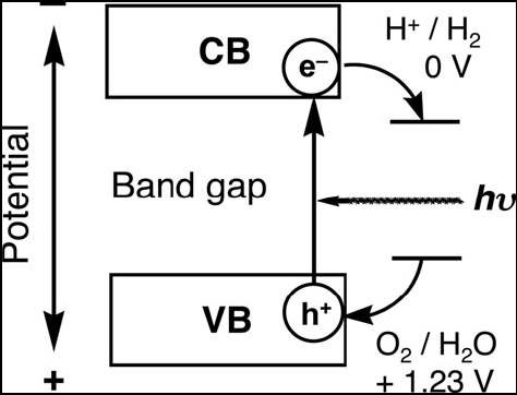 그림 2.4. Principle of water splitting using semiconductor photocatalysts