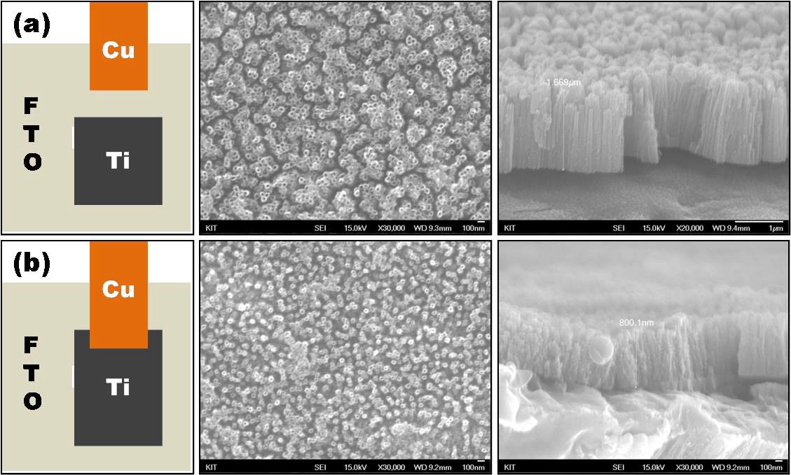 그림 3.6. SEM image of the TiO2 nanotubes on FTO