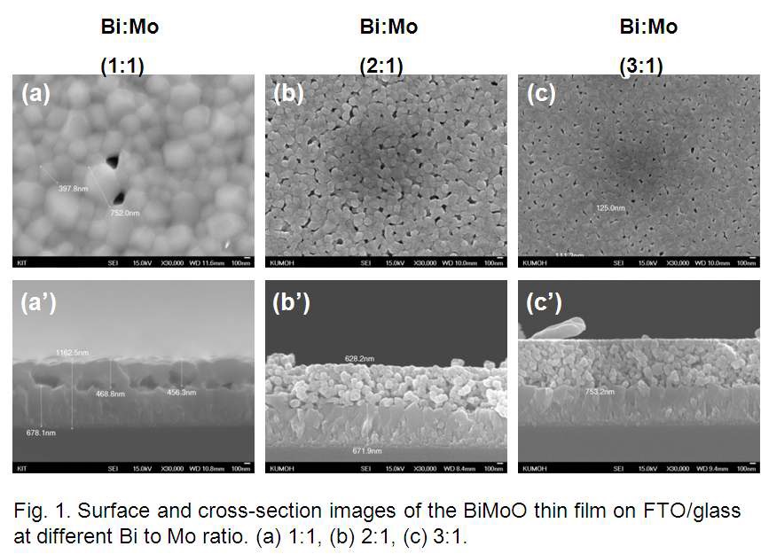 그림 3.13. Surface and cross-section images of the BiMoO thin film on FTO/glass at different Bi to Mo ratio