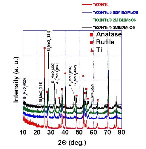 그림 3.19. XRD pattern of the Bi2MoO6 sensitized TiO2 NT.