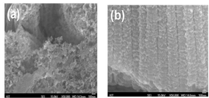 그림 3.19. The TiO2 NTs coated the Vanadium oxide nanoparticles SEM images of (a) top view and (b) cross-section view.