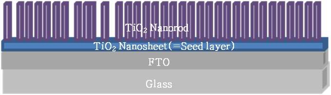 그림 3.31. Glass/FTO기판을 사용한 TiO2 Nanorod 투명전극 구조