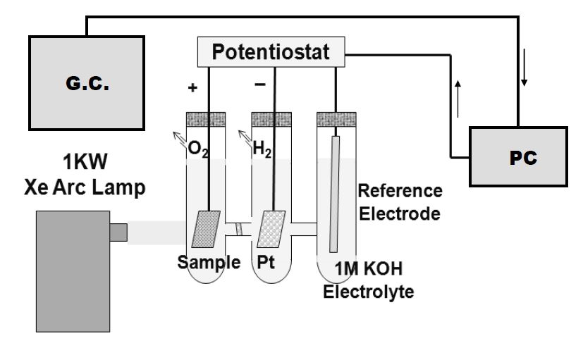 그림 3.33. Schematic diagram of photo-catalytic system. water splitting