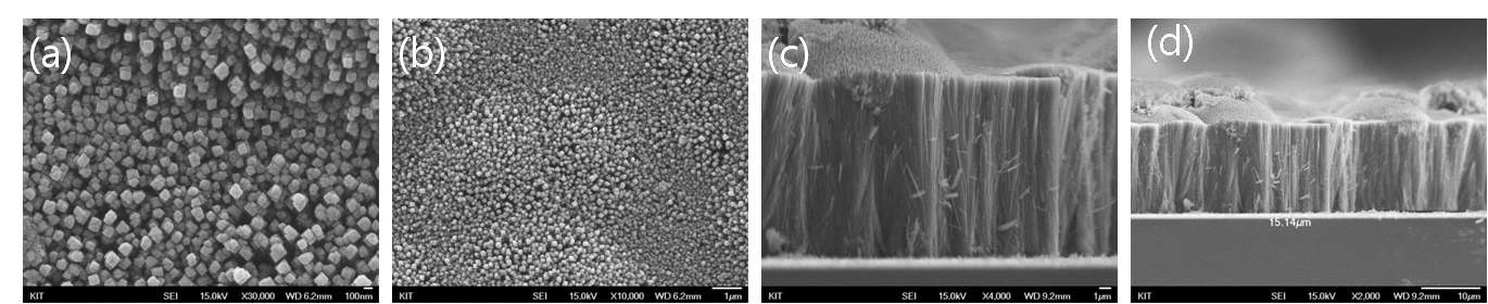 그림 3.35. FESEM 분석 결과 : 수열합성법(Hydrothermal)을 이용한 TiO2 nanorod (a)고배율 표면 (b)저배율 표면, (c)고배율 측면,(d)저배율 측면
