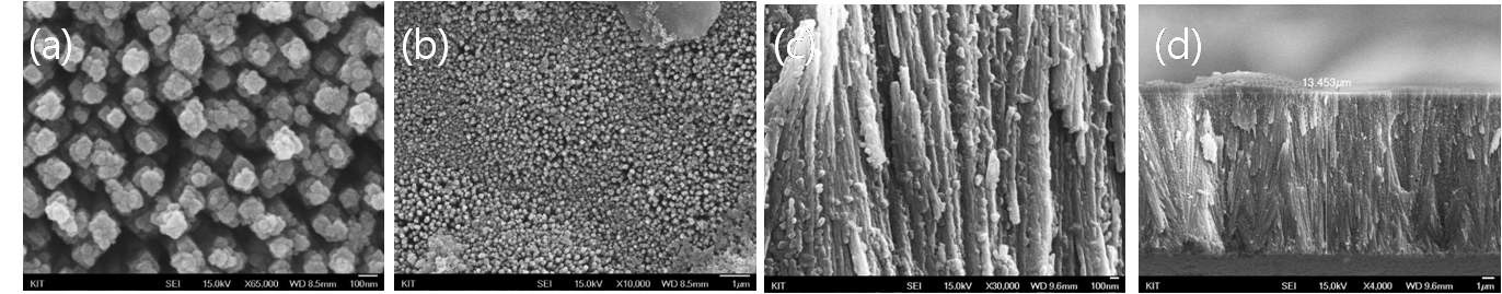 그림 3.61. FESEM 분석 결과 : 수열합성법(Hydrothermal)와 SILAR process를 이용한 CdS/TiO2 nanorod