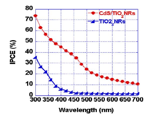 그림 3.65. CdS/TiO2 NR와 TiO2 NR의 IPCE