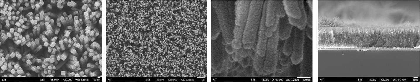 그림 3.69. FESEM 분석 결과 : 수열합성법(Hydrothermal)와 SILAR process를 이용한 CdSe/TiO2 nanorod