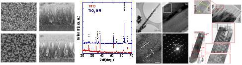 그림 3.82 TiO2 NR 미세구조 분석(FESEM, HRTEM) 및 정성(XRD) 분석결과