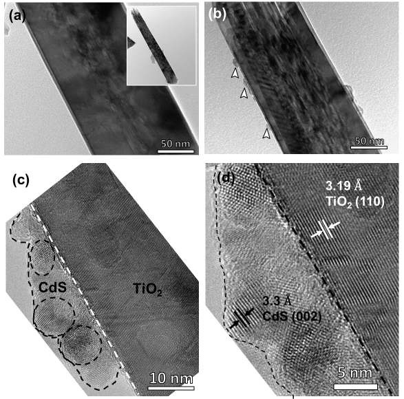 그림3.85. CdS/TiO2 NR TEM