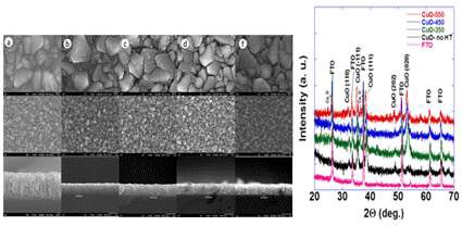 그림 3.88. CuO seed layer FESEM 이미지와 XRD 분석