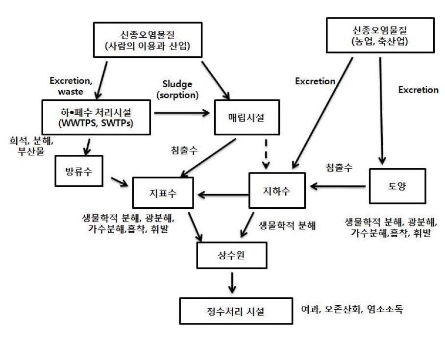 신종오염물질의 주요한 이동경로와 반응기전