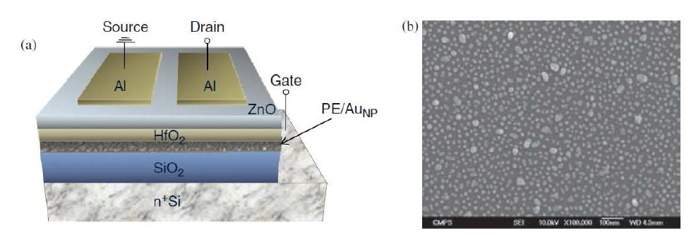 (a) 저온 공정법으로 제작한 ZnO 기반 메모리 소자의 개략도, (b) dipping 방법으로 PE 층 위에 형성된 금 나노입자의 SEM 사진