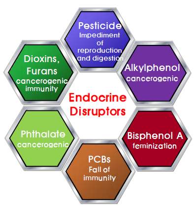 Classification of Endocrine Disruptors.