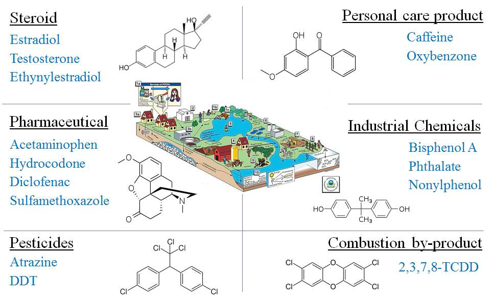 Classification of endocrine disruptors.