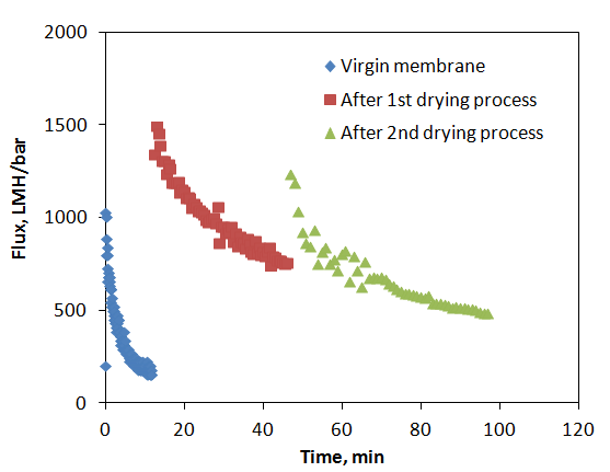 Effects of drying process on pure water flux: The membranes were manufactured under 312 MPa for 5 min and sintered at 900℃ for 4 h.