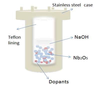 Hydrothermal reactor.