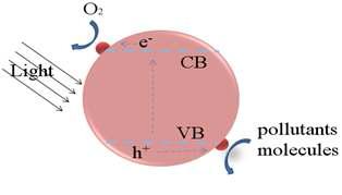 Gold particles (red balls) attached on the surface of the catalysts.