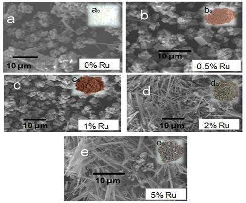 SEM images of the samples obtained after 2.2 h hydrothermal treatment at 200℃ with different amountsof ruthenium.