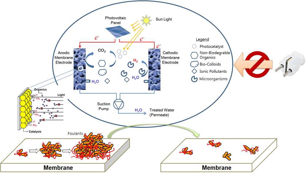 A schematic diagram of the self-sufficient (external energy-free) photoelectrochemical membrane system for enhanced organics degradation and hydrogen fuel production.