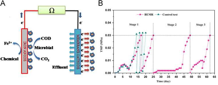 (A) The mechanism of bio-electrochemical membrane reactor (BEMR). (B) The compare of TMP between BEMR and control test.