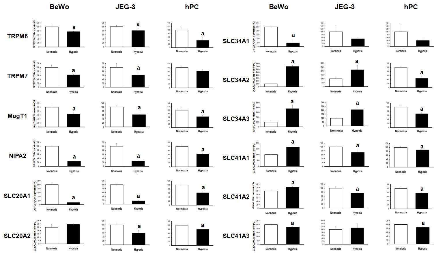 저산소 스트레스가 동반된 태반세포(BeWo, JEG3, hPC)에서의 마그네슘 및 무기인 채널 유전자들의 mRNA 발현 분석