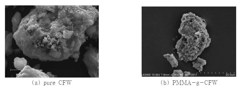 Fig. 68. SEM image of CFW