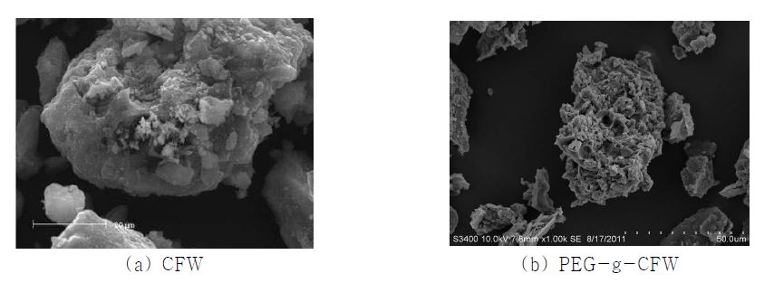 Fig. 70. CFW의 SEM image of CFW applied PEG