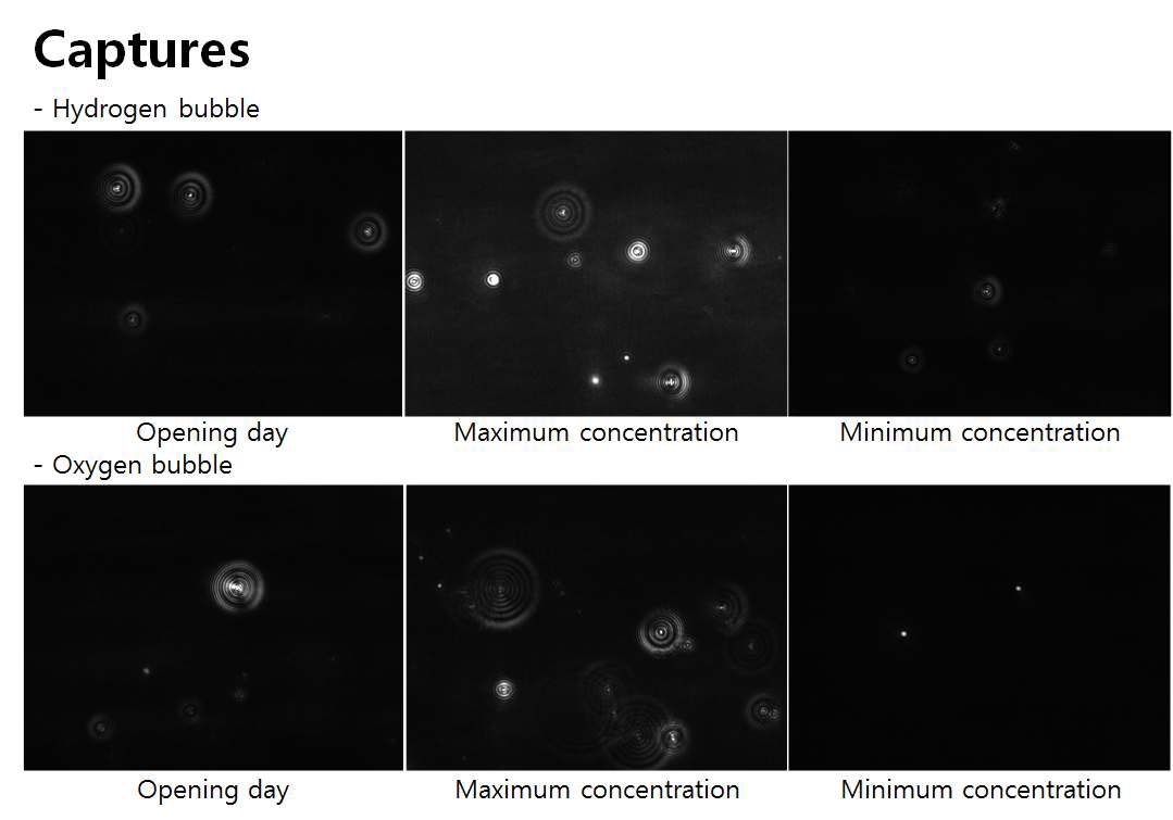 Fig 2 경과시간별 산소/수소나노버블개체수
